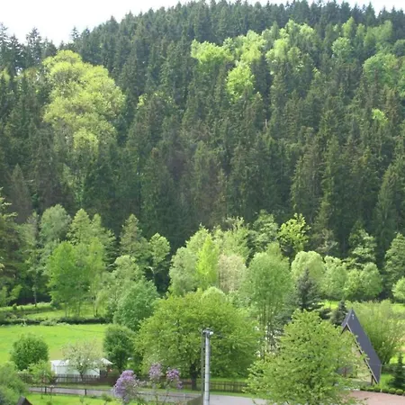 Mit Grosser Gemeinschaftsterrasse, Cleaning Included * Wunschendorf (Erzgebirgskreis)